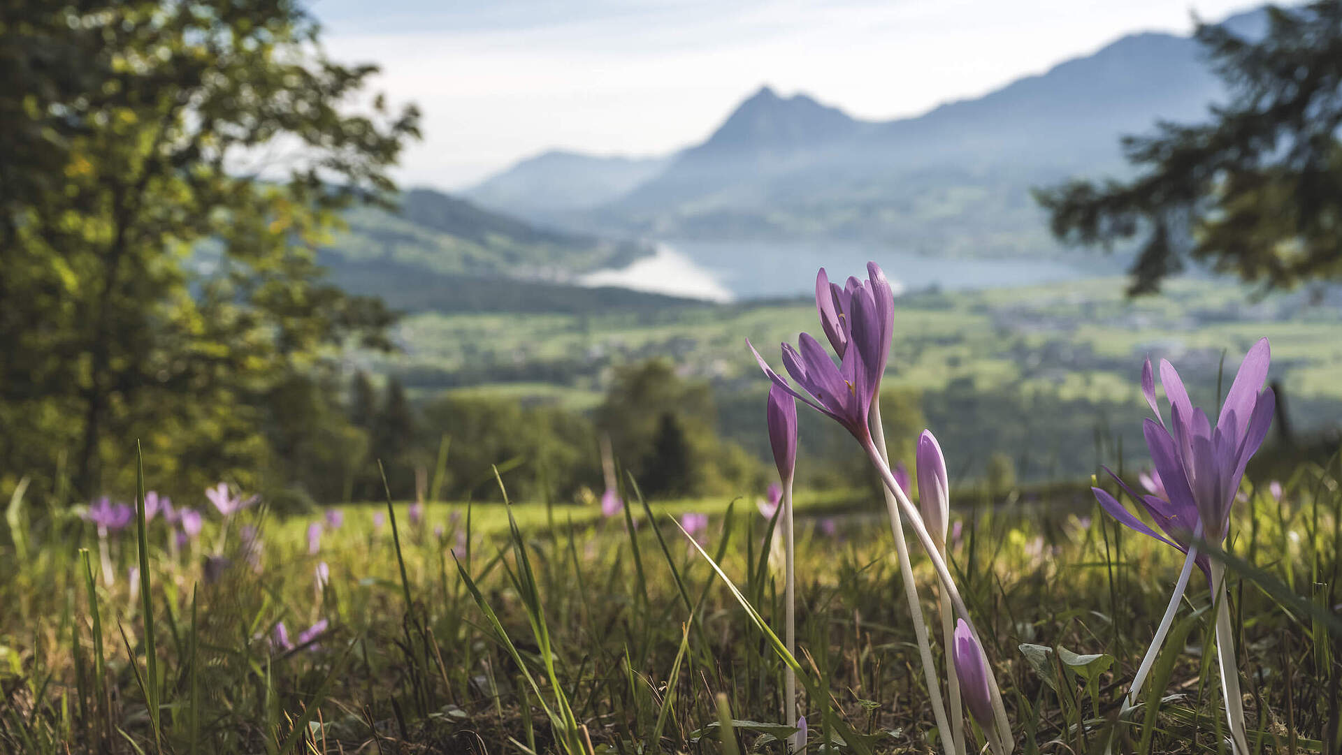 Frühling in Obwalden